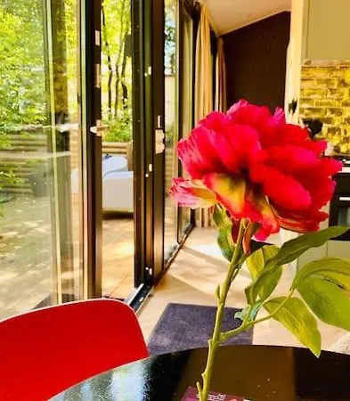 Coco's Buitenhuisje Holiday park *