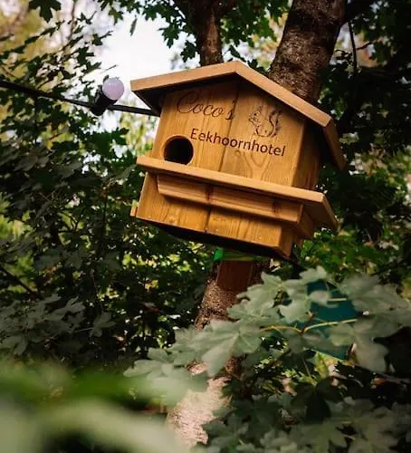 Coco's Buitenhuisje Parque de vacaciones