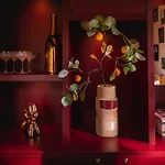 Coco's Buitenhuisje Parco vacanze Nunspeet