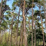 Coco's Buitenhuisje *