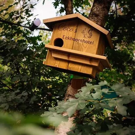 Coco's Buitenhuisje Holiday park