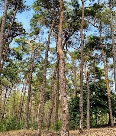 Coco's Buitenhuisje *