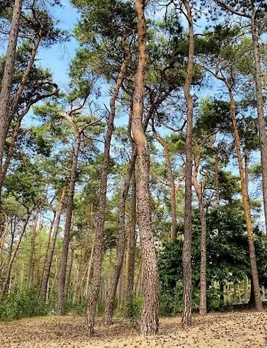 Coco's Buitenhuisje *